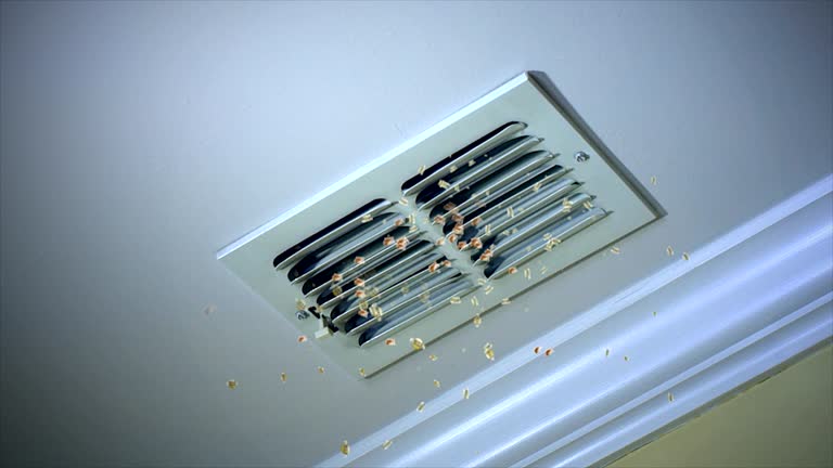 Best Duct Cleaning for Homes  in Greenville, DE