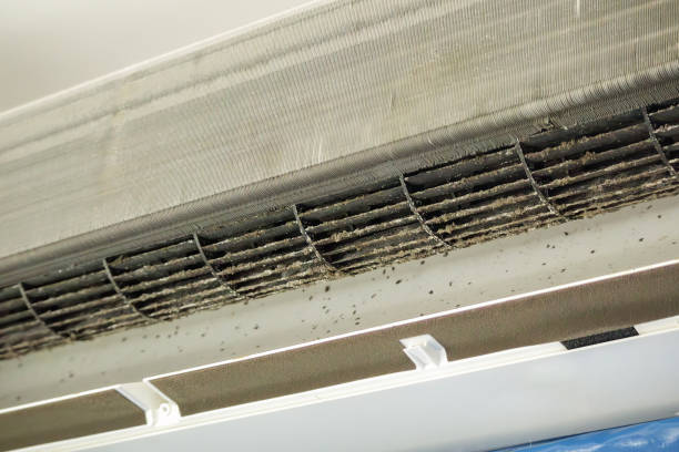 Best Dryer Vent Cleaning Services  in Greenville, DE